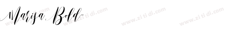Marisa Bold字体转换